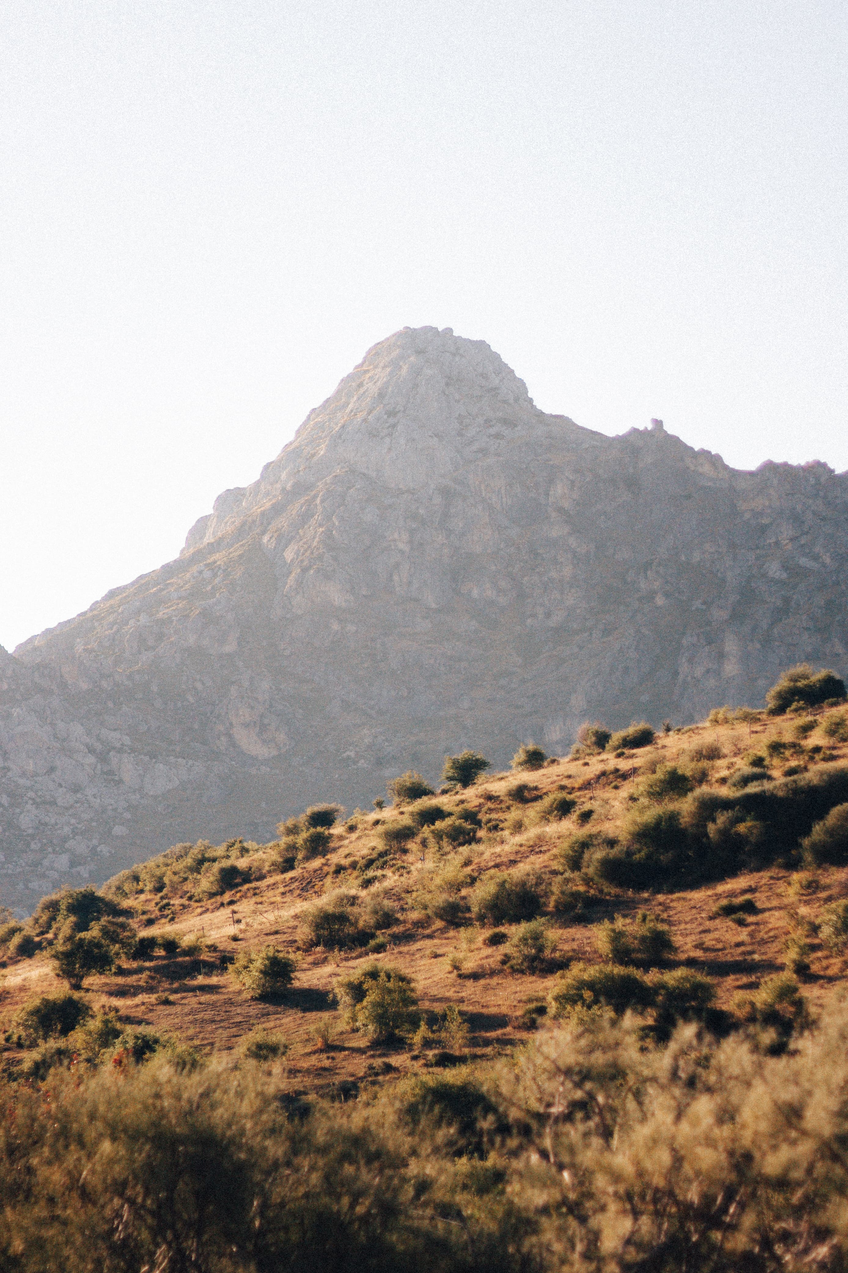NATURALEZA - Capture 5